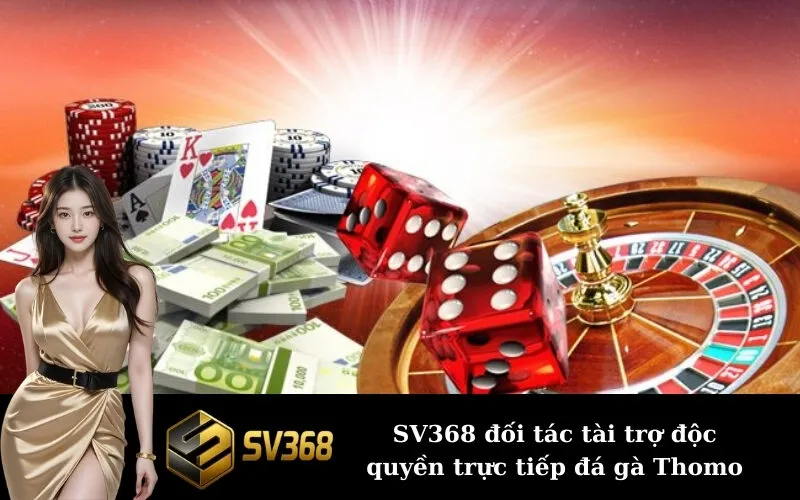 SV368 đối tác tài trợ độc quyền trực tiếp đá gà Thomo